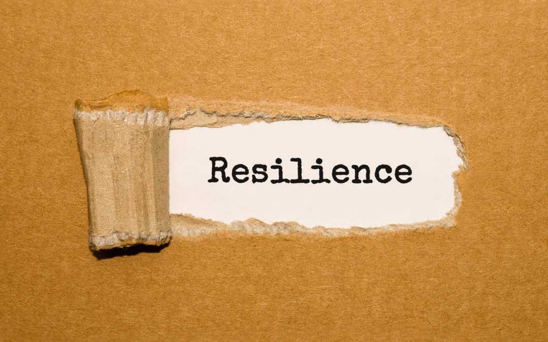 Resilience and Reinvention