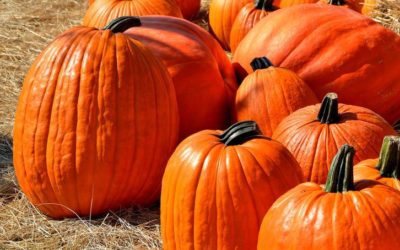 Brain Benefits of Beta-carotene