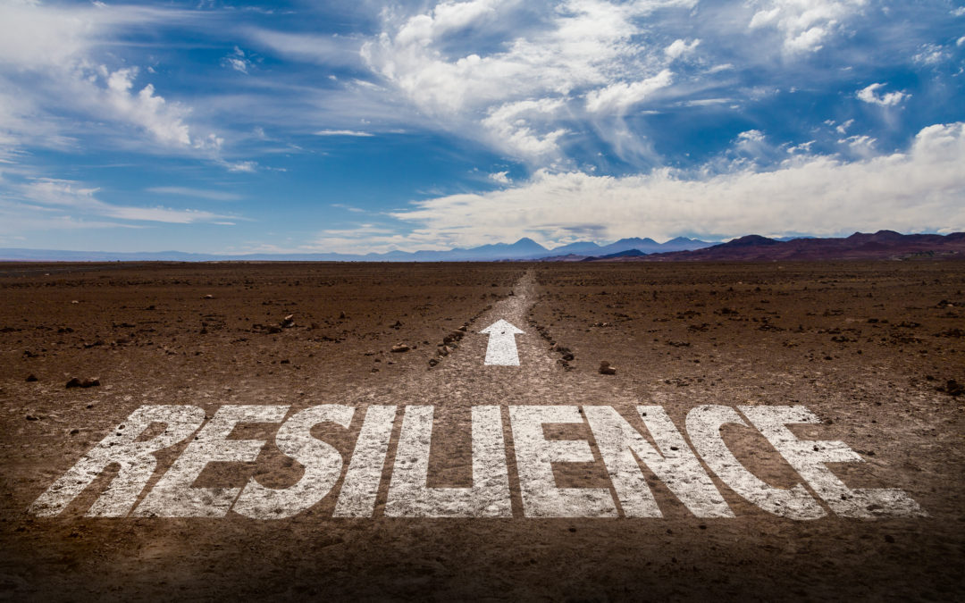 Hardwiring Habits: How Resilient Are You?